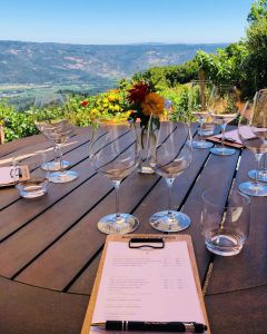 View of Napa Valley from Barnett Winery